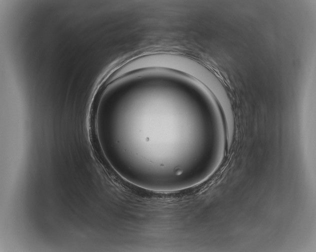 X0000113740340200909231157