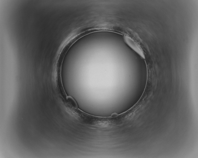 X0000113740344200909231157