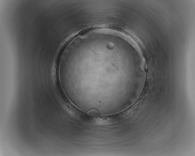 X0000113740346200909231157