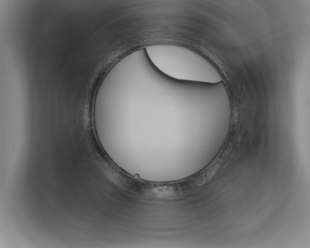 X0000113740353200909231157