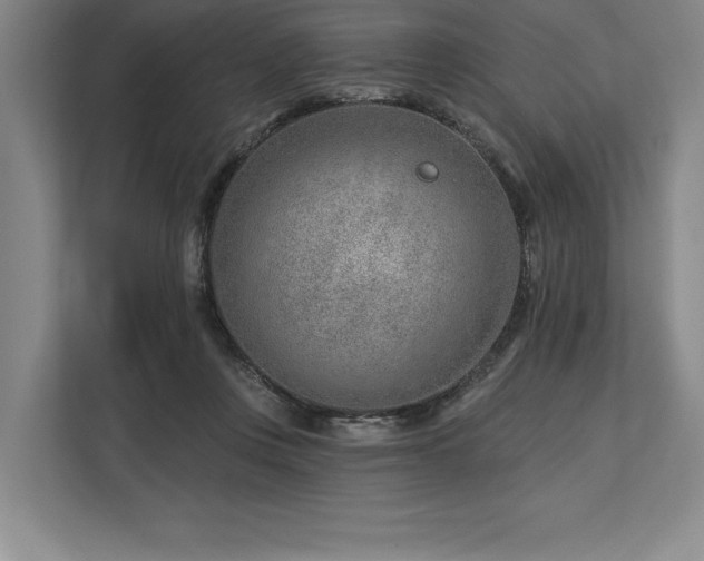 X0000113740359200909231157