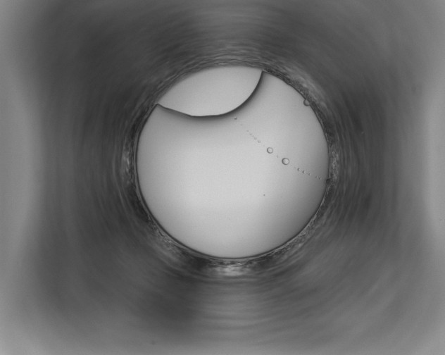 X0000113740365200909231157