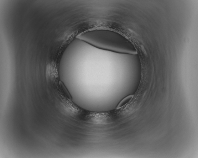 X0000113740384200909231157