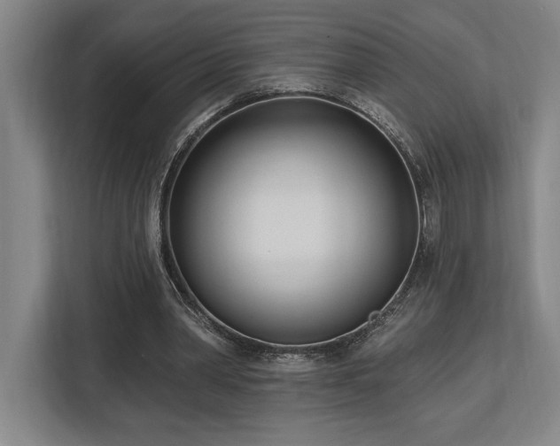 X0000113740390200909231157