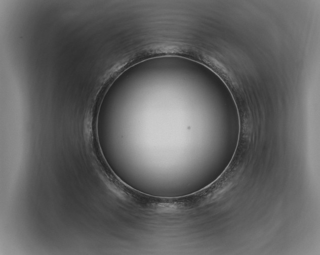 X0000113740394200909231156