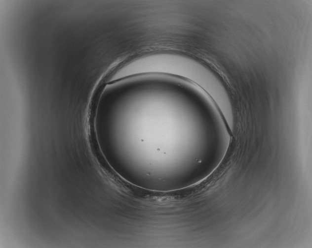 X0000113740395200909231156