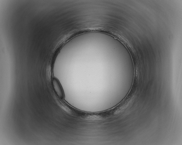 X0000113740397200909231156