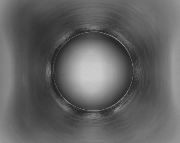 X0000113740398200909231156