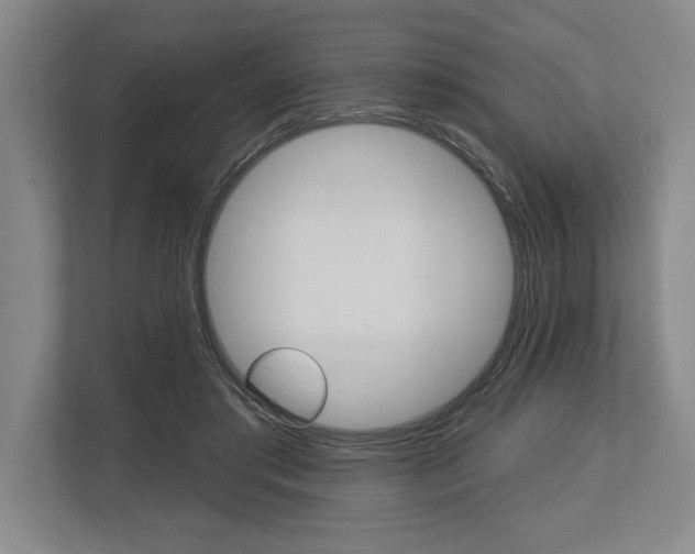 X0000113740405200909231156