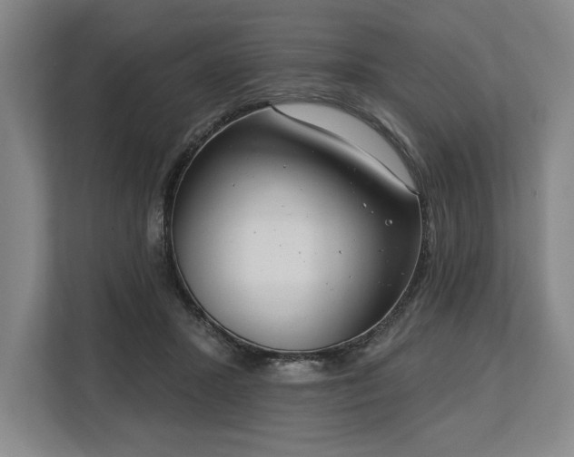 X0000113740407200909231156