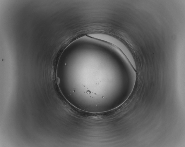 X0000113740411200909231156