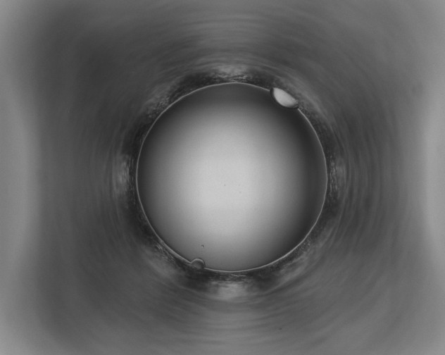 X0000113740412200909231156