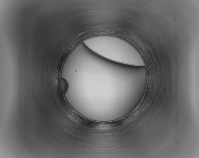 X0000113740413200909231156