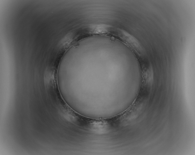 X0000113740415200909231156