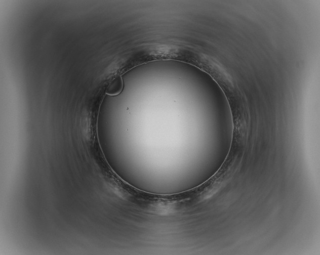 X0000113740416200909231156