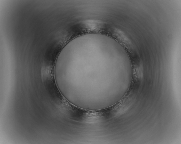 X0000113740419200909231156