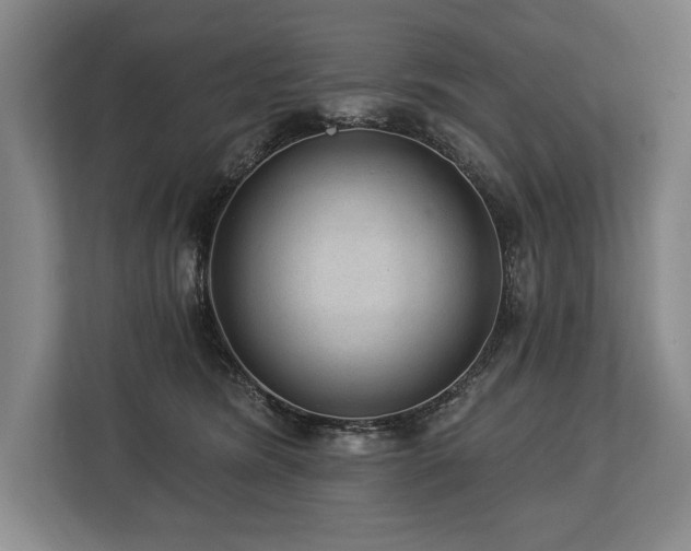 X0000113740420200909231156