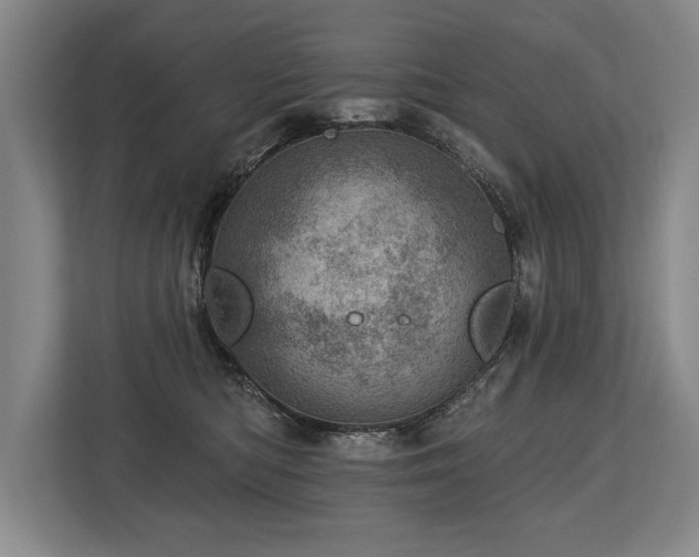 X0000113740422200909231156