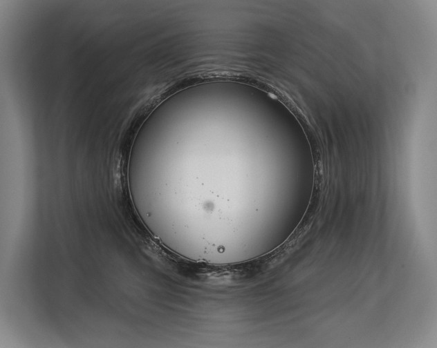 X0000113740423200909231156