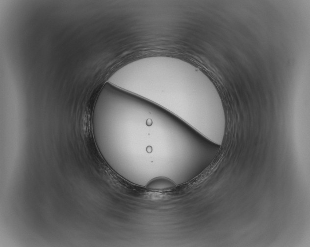 X0000113740425200909231156