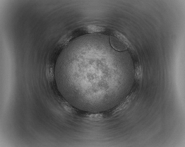 X0000113740426200909231156