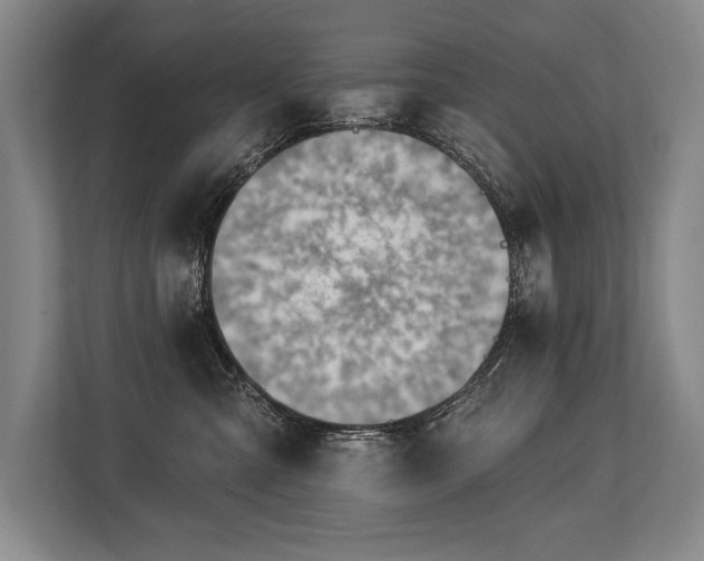 X0000113740427200909231156