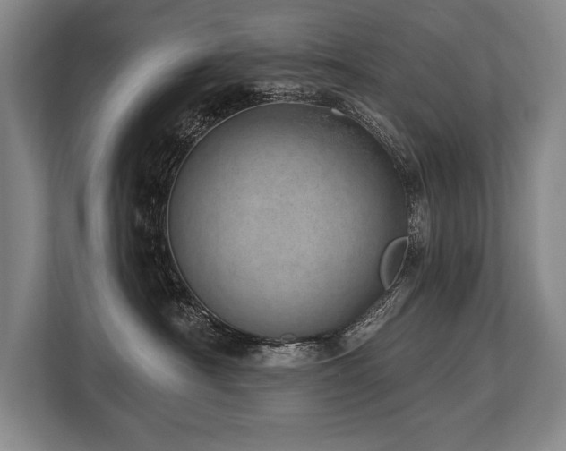 X0000113740430200909231156