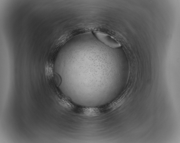 X0000113740432200909231156