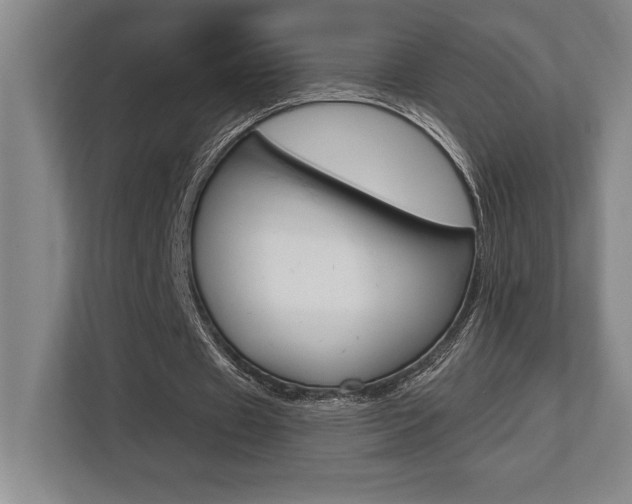 X0000113740433200909231155