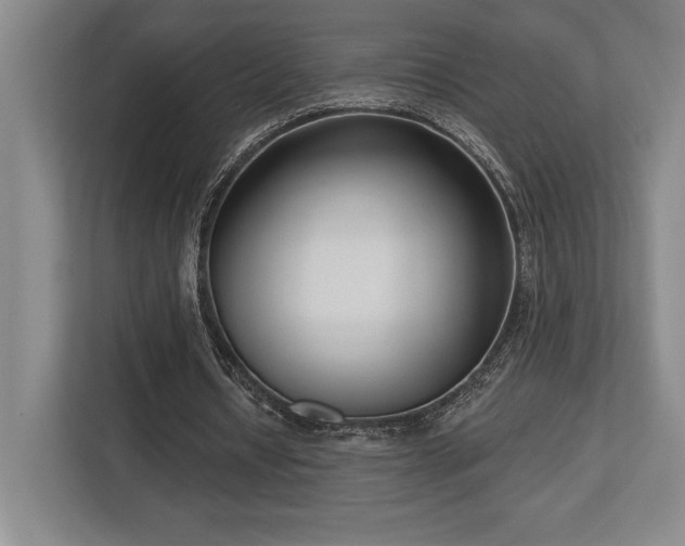 X0000113740434200909231155