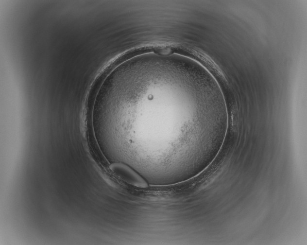 X0000113740436200909231155