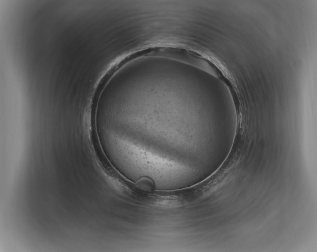 X0000113740438200909231155