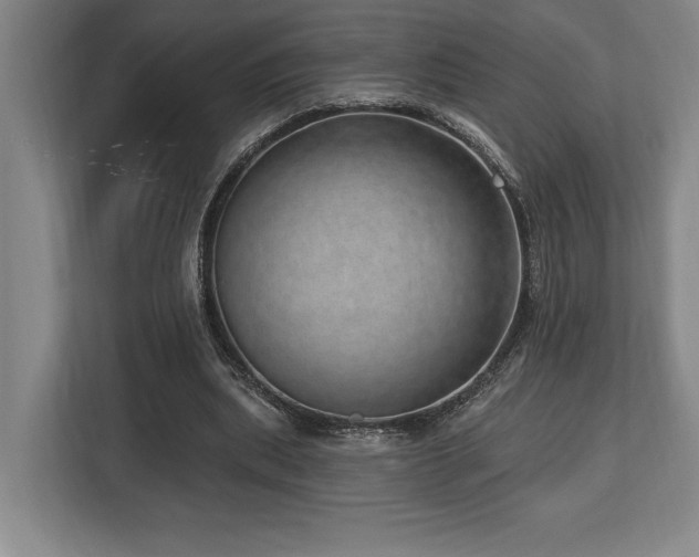 X0000113740439200909231155