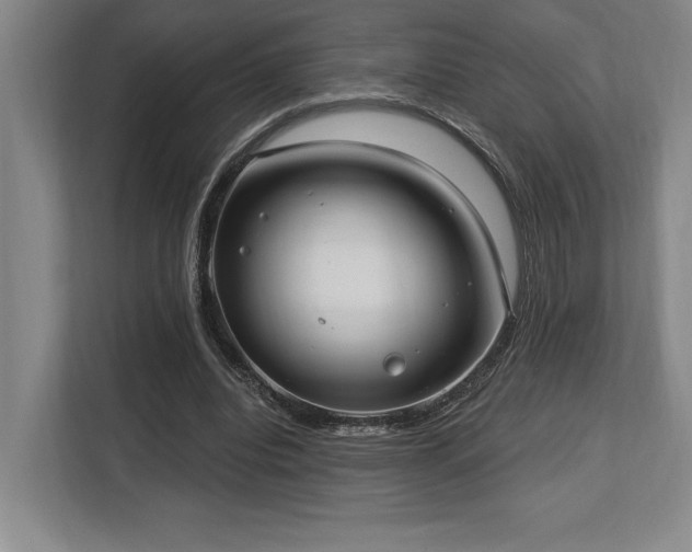 X0000113740440200909231155