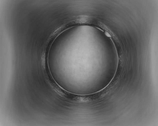 X0000113740442200909231155