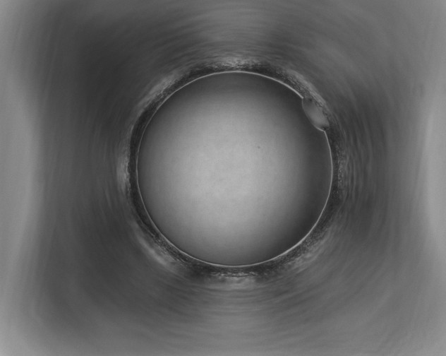 X0000113740443200909231155