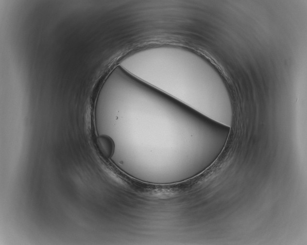 X0000113740445200909231156