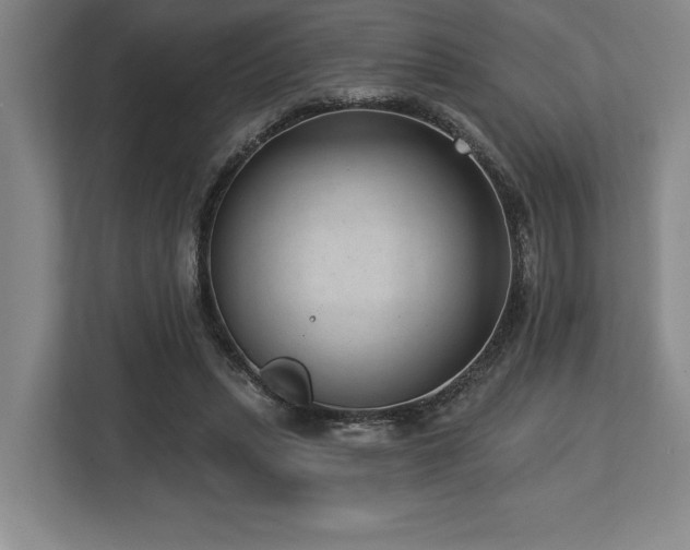 X0000113740447200909231156