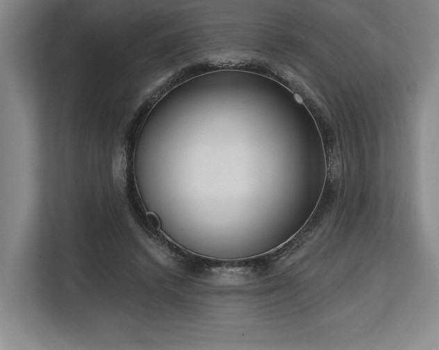 X0000113740448200909231156