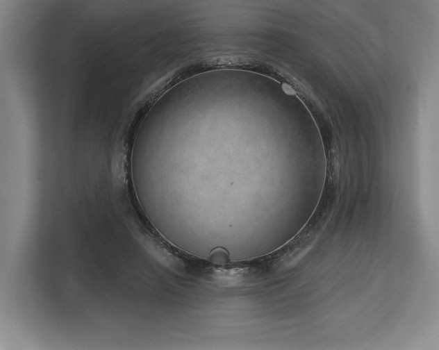 X0000113740450200909231156