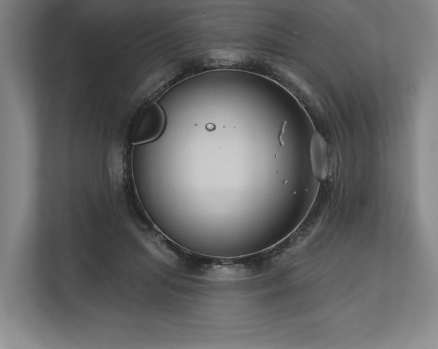 X0000113740455200909231156