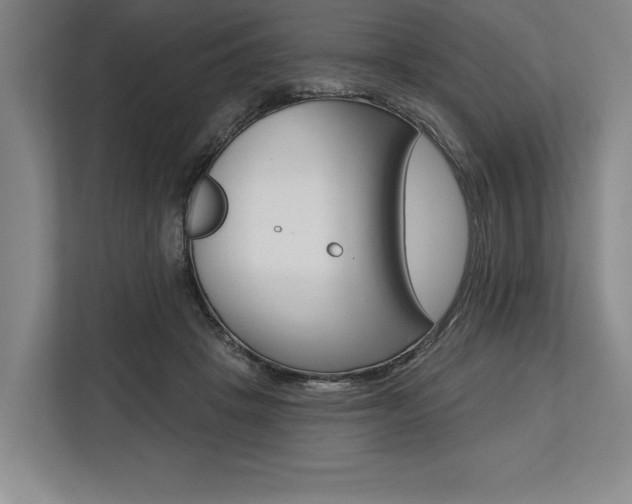 X0000113740457200909231156