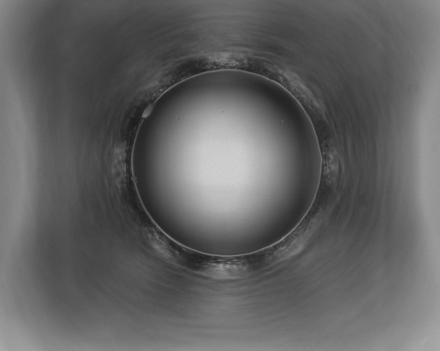 X0000113740466200909231156