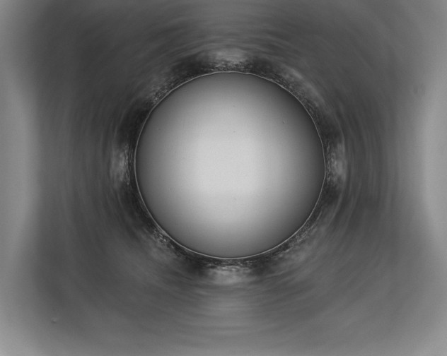 X0000113740468200909231156