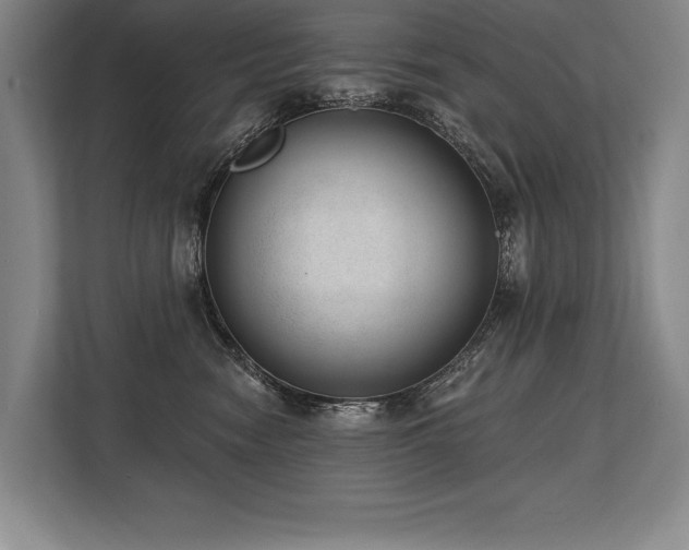 X0000113740474200909231156