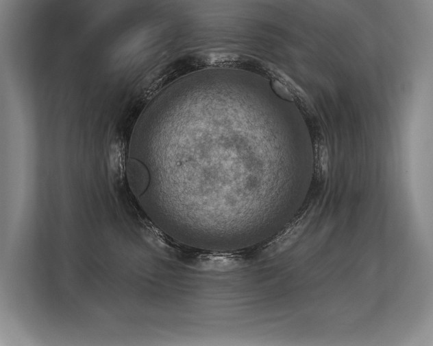 X0000113740475200909231156