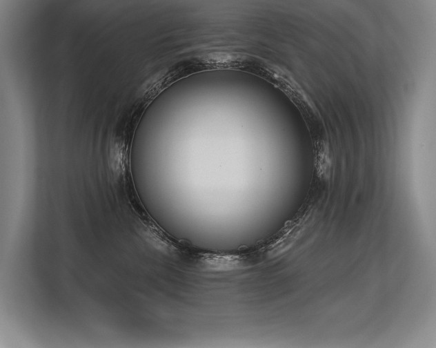 X0000113740476200909231156