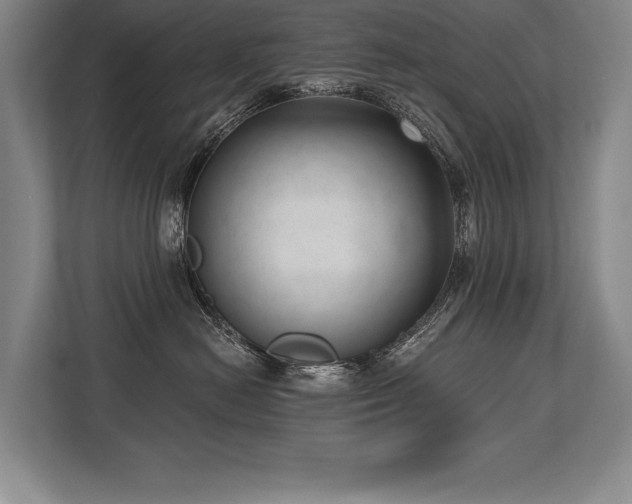 X0000113740478200909231156