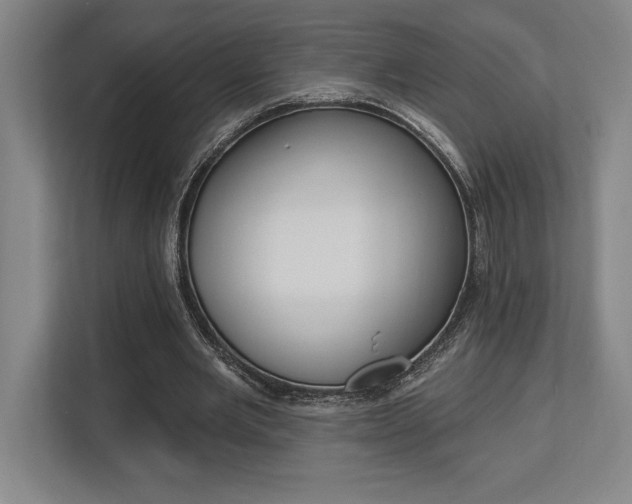 X0000113740485200909231155