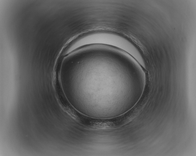 X0000113740488200909231155